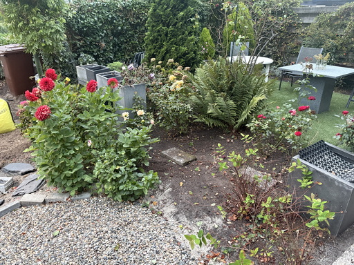 Tuin